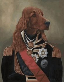 a painting of a spaniel dressed as a military officer .