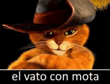 a cat wearing a hat with the words el vato con mota written below it