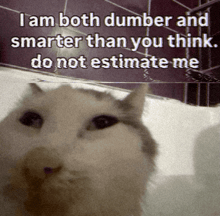 a picture of a cat with a caption that says " i am both dumber and smarter than you think "