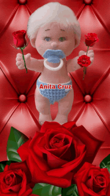 a picture of a baby with a pacifier and the name anita cruz