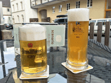 two glasses of beer are on a table with a sign that says scenario