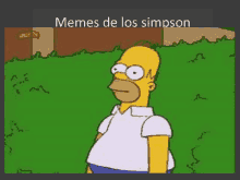 a cartoon of homer simpson standing in the grass with the words memes de los simpson above him .