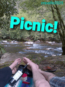 a person laying on a blanket with a bottle of wine in front of a river with the words picnic above them