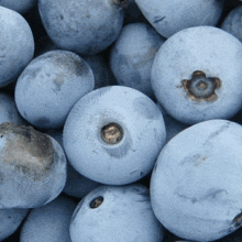 a bunch of blueberries with a brown center