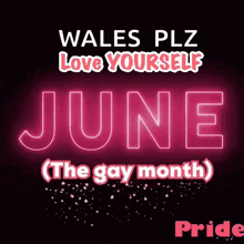 a poster that says wales plz love yourself june ( the gay month )
