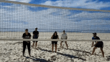 a group of people are playing volleyball on a beach and one of them is wearing a shirt that says livr