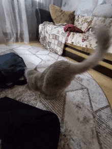 a cat laying on a rug in a living room with a couch in the background