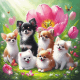 a group of chihuahuas are sitting in a field of flowers