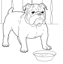 a black and white drawing of a bulldog standing next to a bowl