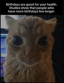 a picture of a cat with a caption that says " birthdays are good for your health "