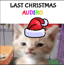 a picture of a cat with a santa hat and the words last christmas audiro