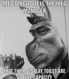 a donkey with the caption me going to tell the ikea manager