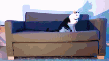 a black and white cat laying on a couch