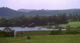 a group of people standing in a field looking at a lake
