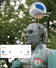 a statue of a man with a seagull sitting on top of it