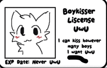 a drawing of a cat with the words boykisser liscense uwu