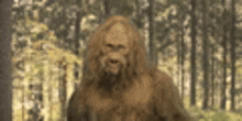 a bigfoot with long hair and a beard is standing in a forest .