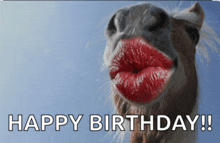 a horse with red lips and the words happy birthday written below it