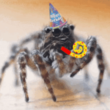 a spider wearing a party hat that says happy birthday on it