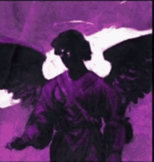 a purple and black angel with wings is standing in the dark