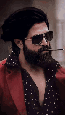 a man with a beard wearing sunglasses and a red jacket