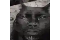 a black cat with horns and a beard is laying down