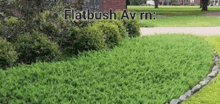 a lush green lawn with a brick building in the background and a stone border .