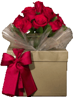 a box with red roses wrapped in plastic and a red ribbon that says ' rosas ' on it