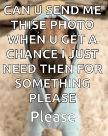 a picture of a dog with a caption that says can u send me this photo
