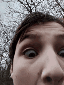 a close up of a person 's face with a tree behind them