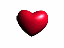 a heart shaped mirror with the word ballot on the front