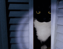 a black and white cat is peeking out from behind a door that says 3am