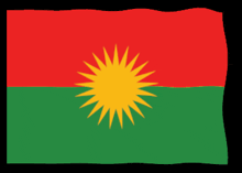 a red green and yellow flag with a sun in the middle