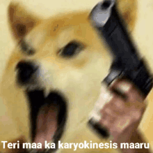 a dog with its mouth open is being shot with a gun with the words teri maa ka karyokinesis maaru below it