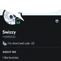 a screenshot of swizzy 's profile on a social media site