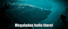 a picture of a shark with the words megalodon hello there on it