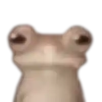 a close up of a frog 's face with a white background .