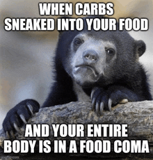 a bear is sitting on a log with a caption that says when carbs sneaked into your food and your entire body