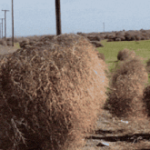 a large pile of hay is sitting in a field