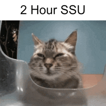 a picture of a cat with the words " 2 hour ssu " on the bottom