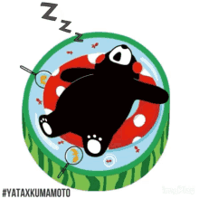 a cartoon of a bear sleeping in a watermelon