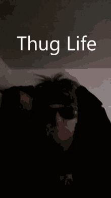 a man wearing sunglasses and a bandana with the words thug life written above him