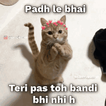 a cat with hearts on its head and a caption that says ' padh le bhai '