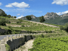 a road winds through a lush green valley with mountains in the background