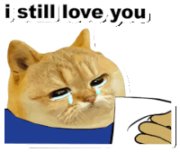 a cat is crying while holding a cup with the words i still love you above it