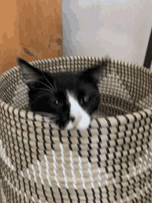 a black and white cat is laying in a striped basket