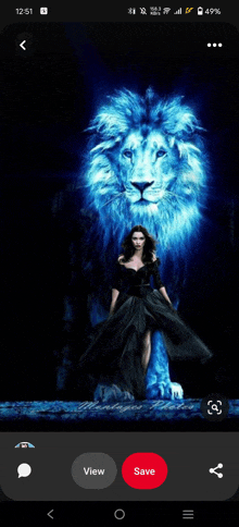 a woman in a black dress is standing next to a lion