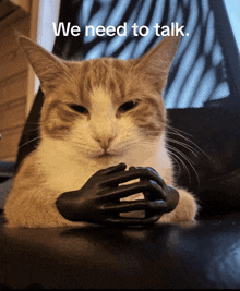 a cat sitting on a couch with a hand on its paw and the words we need to talk behind it