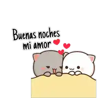 a couple of cats laying under a blanket with the words buenas noches mi amor written above them