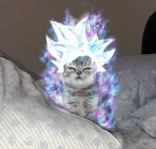 a cat is laying on a bed with a purple and blue flame coming out of its head